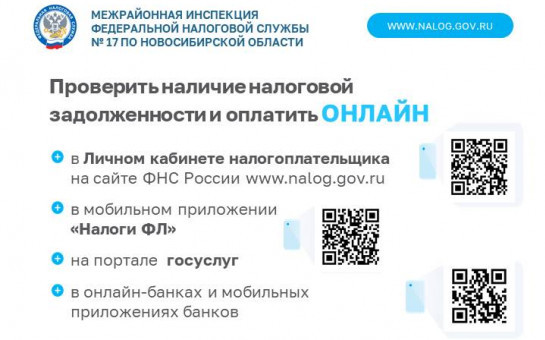 Как узнать о наличии налоговой задолженности и погасить ее